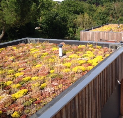 Formation Etanchéité par Membrane synthétique des toitures terrasses sur élément porteur en bois