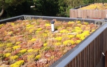 Formation Etanchéité par Membrane synthétique des toitures terrasses sur élément porteur en bois